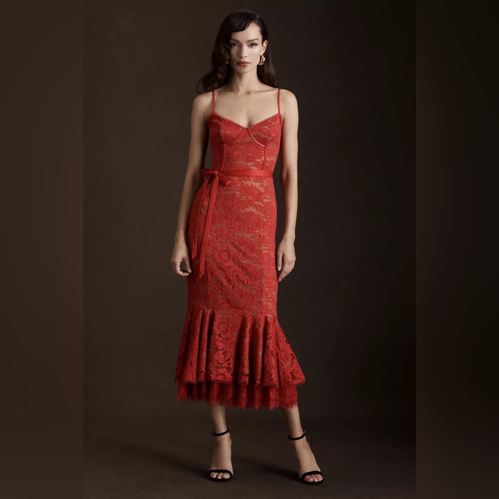 Anthropologie V. Chapman Naomi Stretch Lace Corset Flounce-Hem Midi Dress